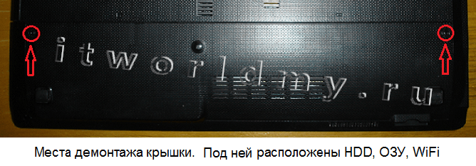 Вид сзади